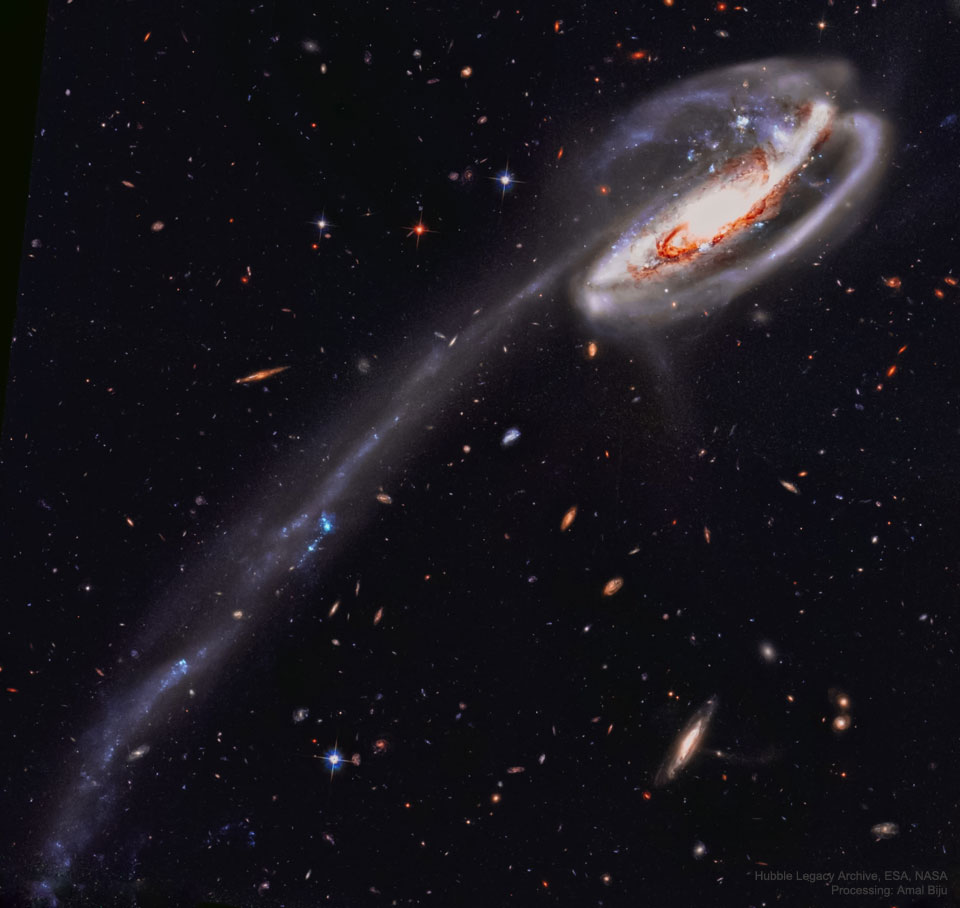 Zdjęcie przedstawia Arp 188, niezwykłą Galaktykę Kijanka z długim ogonem, wypełnionym gwiazdami, sfotografowaną przez Kosmiczny Teleskop Hubble'a.  
Bardziej szczegółowe informacje w opisie poniżej.