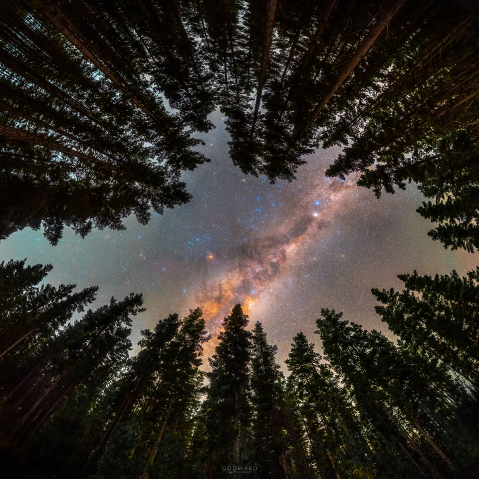 Zdjęcie pokazuje pas Drogi Mlecznej otoczony przez pierścień drzew.
Zobacz opis. Kliknięcie wyświetli obraz o największej dostępnej rozdzielczości.