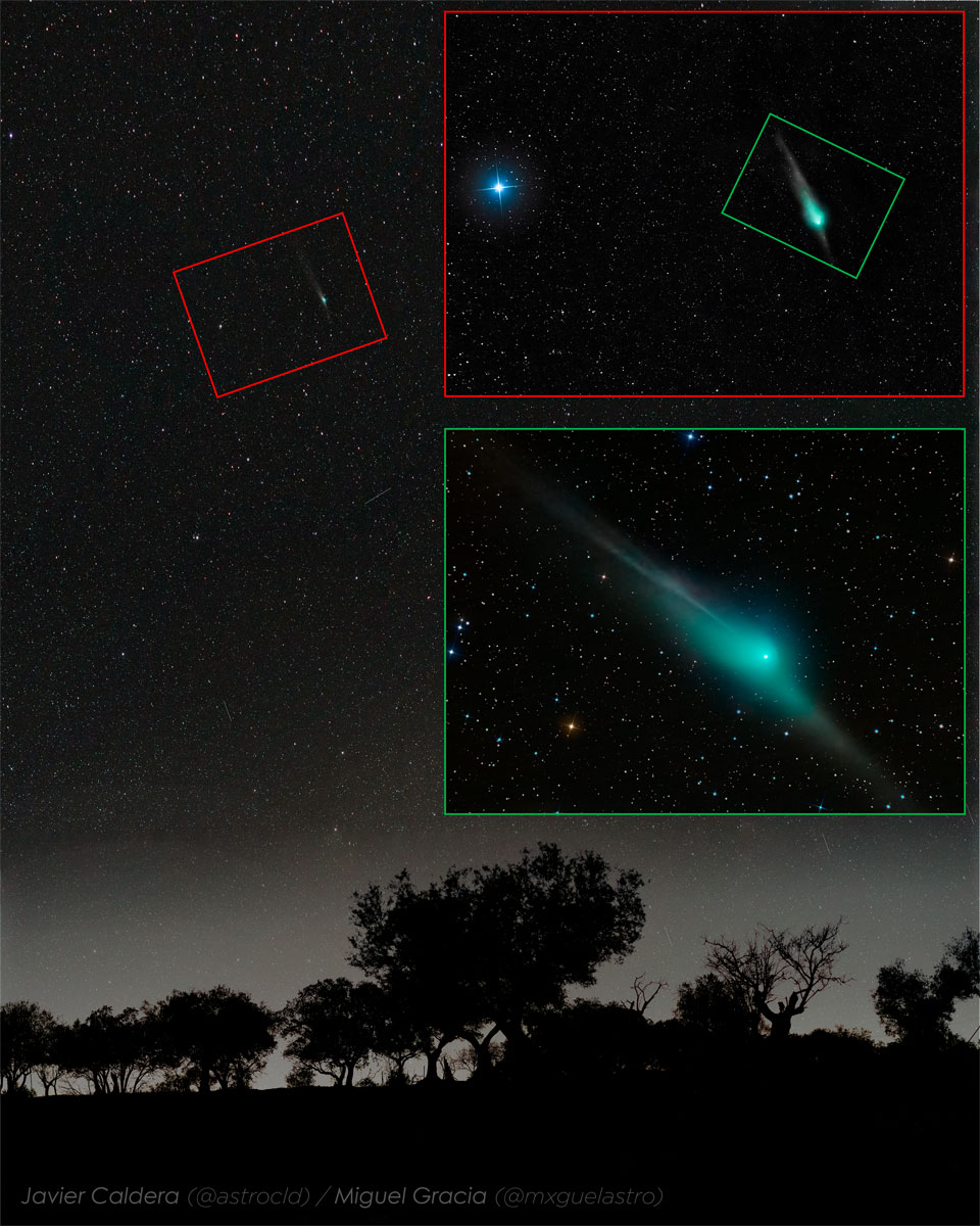 Kometę ZTF pokazano wysoko nad i daleko za rzędem zarysu drzew.
Zdjęcie na górnej wstawce pokazuje, jak kometa wygląda przez lornetkę,
dolna wstawka natomiast pokazuje, jak kometa wyglądała w zeszłym tygodniu
przez małe teleskopy. Zdjęcie w dolnej wstawce szczegółowo pokazuje komę
komety, jej warkocze pyłowy i jonowy oraz wyraźny antywarkocz.
Zobacz opis. Po kliknięciu obrazka załaduje się wersja
 o największej dostępnej rozdzielczości.