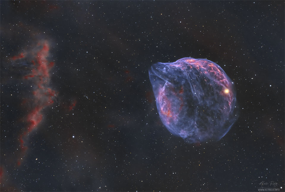 Na zdjęciu pokazane jest pole gwiazd z postrzępionymi czerwonymi chmurami
daleko po lewej oraz cienkim błękitnym obłokiem o kształcie podobnym do głowy
delfina po prawej. Zobacz opis. Po kliknięciu obrazka załaduje się wersja
 o największej dostępnej rozdzielczości.