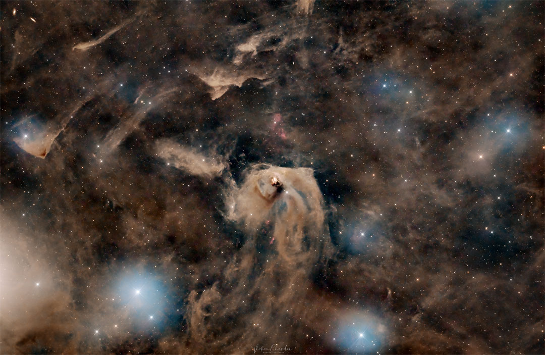 A star field strewn with bunches of brown dust is pictured.
In the center is a bright area of light brown dust, and in the 
center of that is a bright region of star formation.
Please see the explanation for more detailed information.