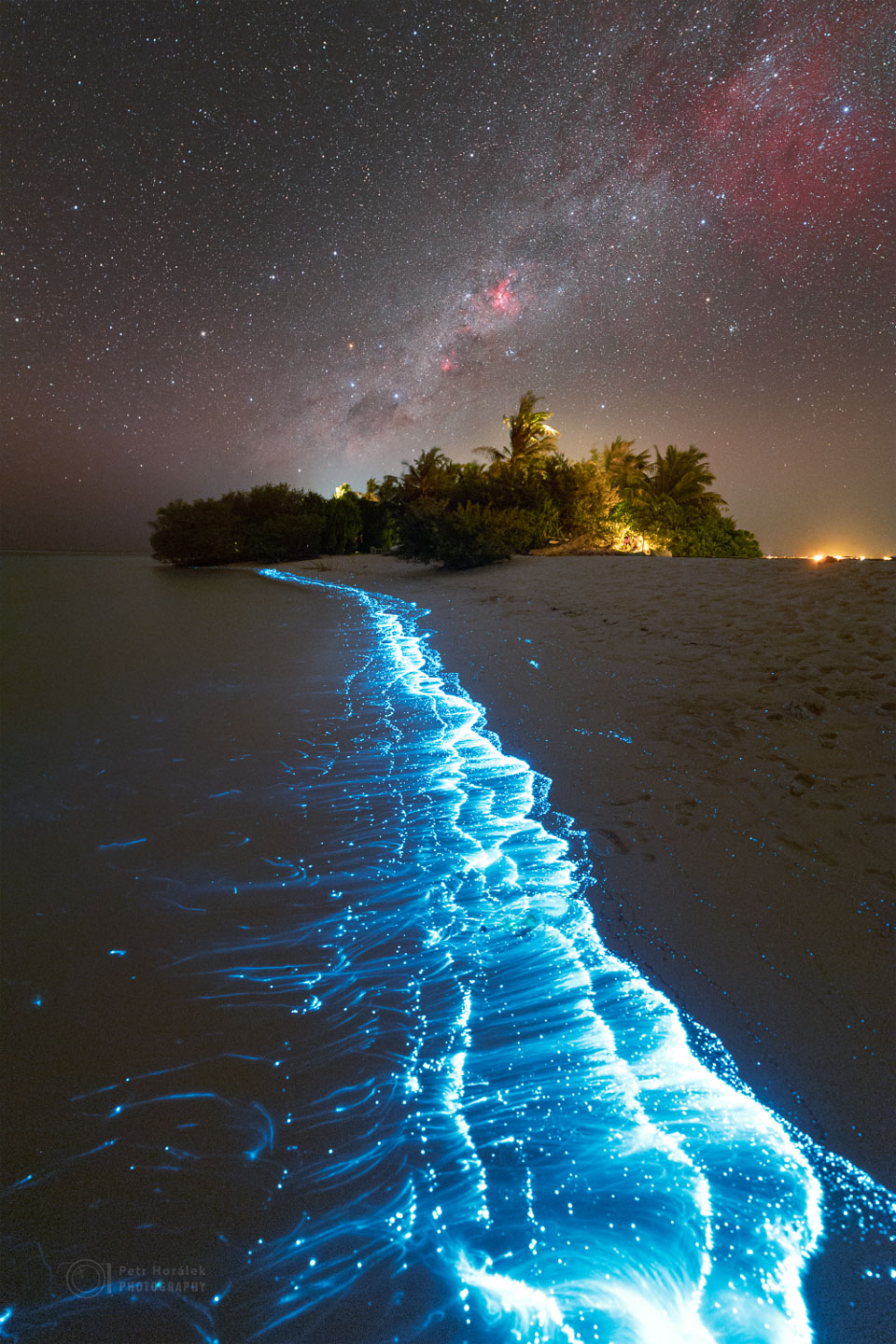 A shoreline glowing with blue bioluminescent plankton is shown,
with a stand of trees in the distance. Above all is a starry sky
which includes red nebulae and the central band of our Milky
Way Galaxy.
Please see the explanation for more detailed information.