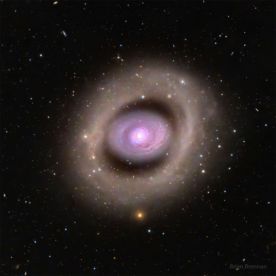 A spiral galaxy is seen in the image center with a distinct
purple hue. The galaxy features a bright inner ring, but even
outside of that appears another large ring. The outer rings
appears light brown. Foreground stars are visible throughout
the image.
Please see the explanation for more detailed information.