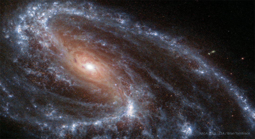 Na zdjęciu pokazano galaktykę M66 w podczerwieni,
tak jak widzi ją krążący wokół Słońca Teleskop Kosmiczny
Jamesa Webba (JWST). Widoczne jest czerwonawo-brązowe
jądro galaktyki, otoczone błękitnymi ramionami spiralnymi.
Bliższe przyjrzenie się zdjęciu ujawni, że owe ramiona nie
są symetryczne. Zobacz opis. Po kliknięciu obrazka załaduje się wersja o największej
dostępnej rozdzielczości.