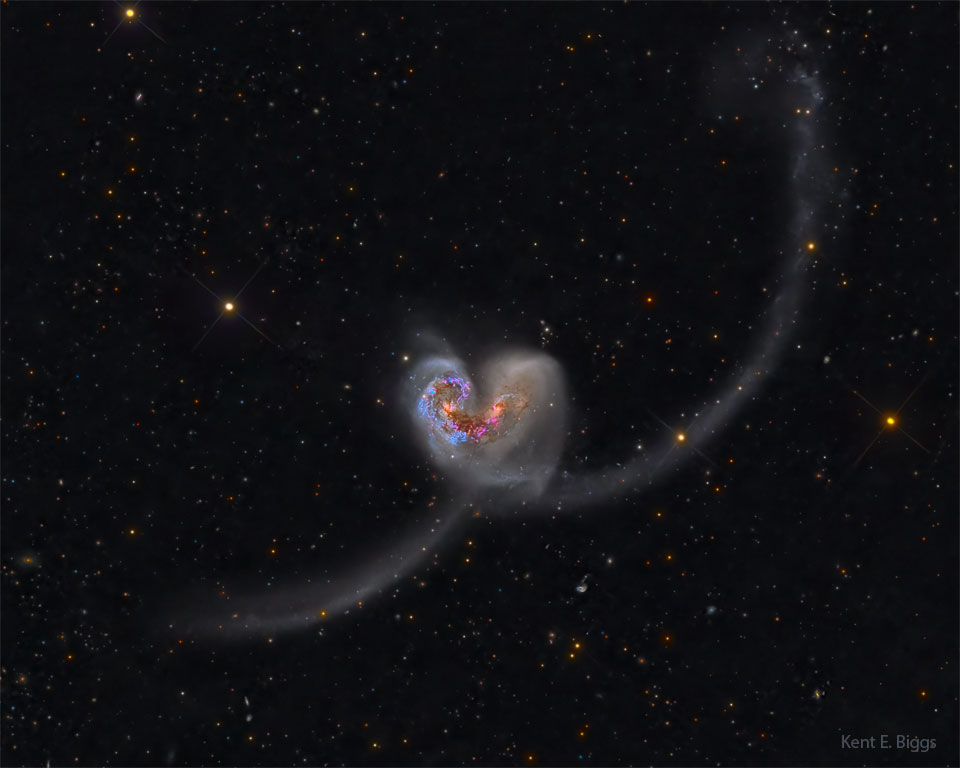 W środku zdjęcia widoczne są dwie zderzające się galaktyki.
Razem mają one kształt klasycznego serca, lecz z długimi warkoczami.
Zobacz opis. Po kliknięciu obrazka załaduje się wersja
o największej dostępnej rozdzielczości.