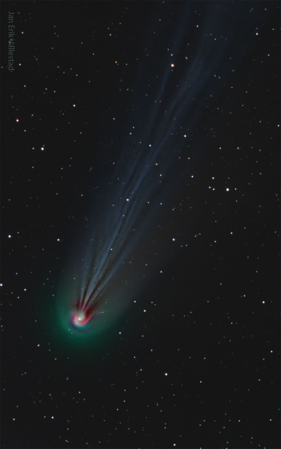 A comet is pictured with a really long and wavy ion tail.
The front of the comet -- its coma -- appears to be a spiral.
The coma is green, the tail is faint blue, and part of the 
swirl is red.
Więcej szczegółowych informacji w opisie poniżej.