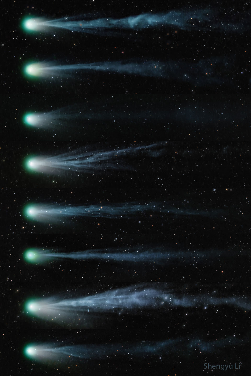 A sequence of eight images of Comet Pons-Brooks, from top
to bottom, showing the comet and its changing tail over
9 days. The ion tail looks very different in each of the
images, sometimes being much more complex than other times.
Więcej szczegółowych informacji w opisie poniżej.