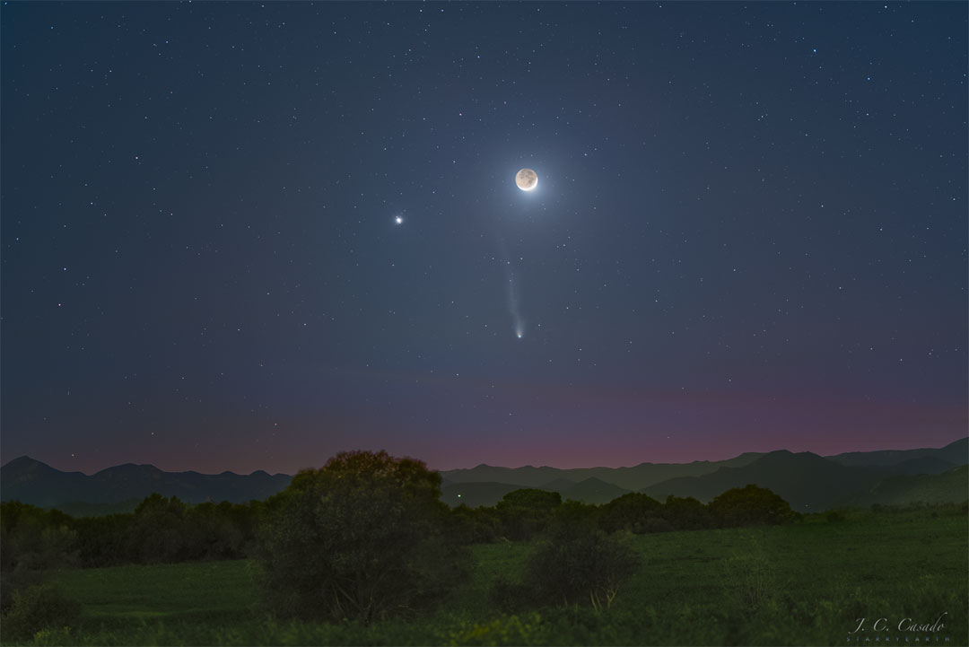 
A starry sky is seen over a dark grassy landscape. Three bright
objects are seen in the sky. They are Jupiter on the upper left,
a crescent Moon on the upper right, and Comet Pons-Brooks below
them, making a triangle. Two tails are seen extending nearly
upwards from the comet.
Więcej szczegółowych informacji w opisie poniżej.