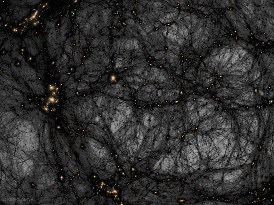 A complicated web of dark filaments is seen against
a light background. When many filmaments intersect, an
orange spot is seen. 
Więcej szczegółowych informacji w opisie poniżej.