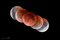 Thumbnail image. Click to load APOD for this date
