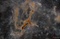 Thumbnail image. Click to load APOD for this date