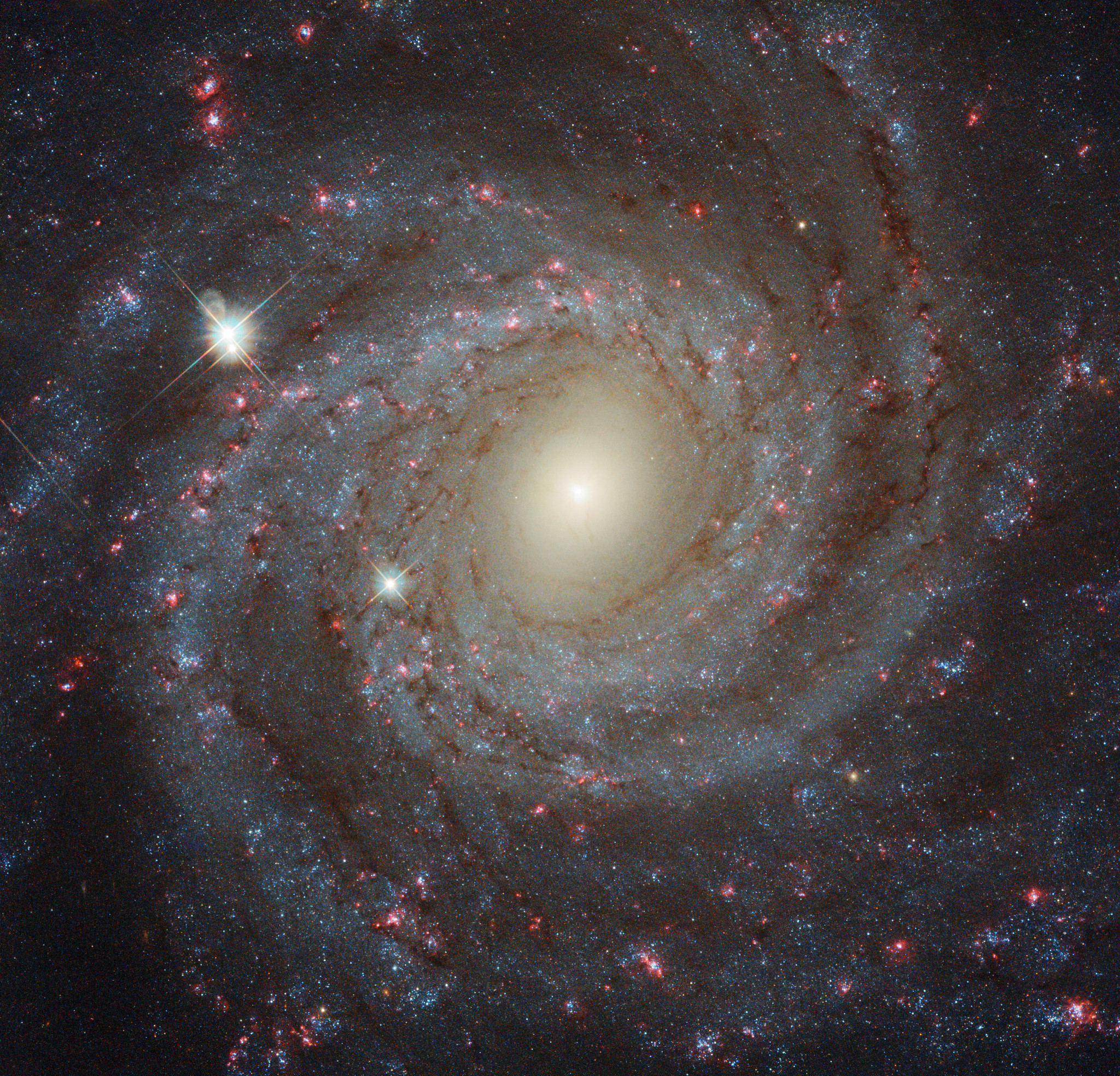 Grand spiral galaxy NGC 3344 is shown. Spiral arms
with stars, star clusters, and nebula are visible.
Więcej szczegółowych informacji w opisie poniżej.