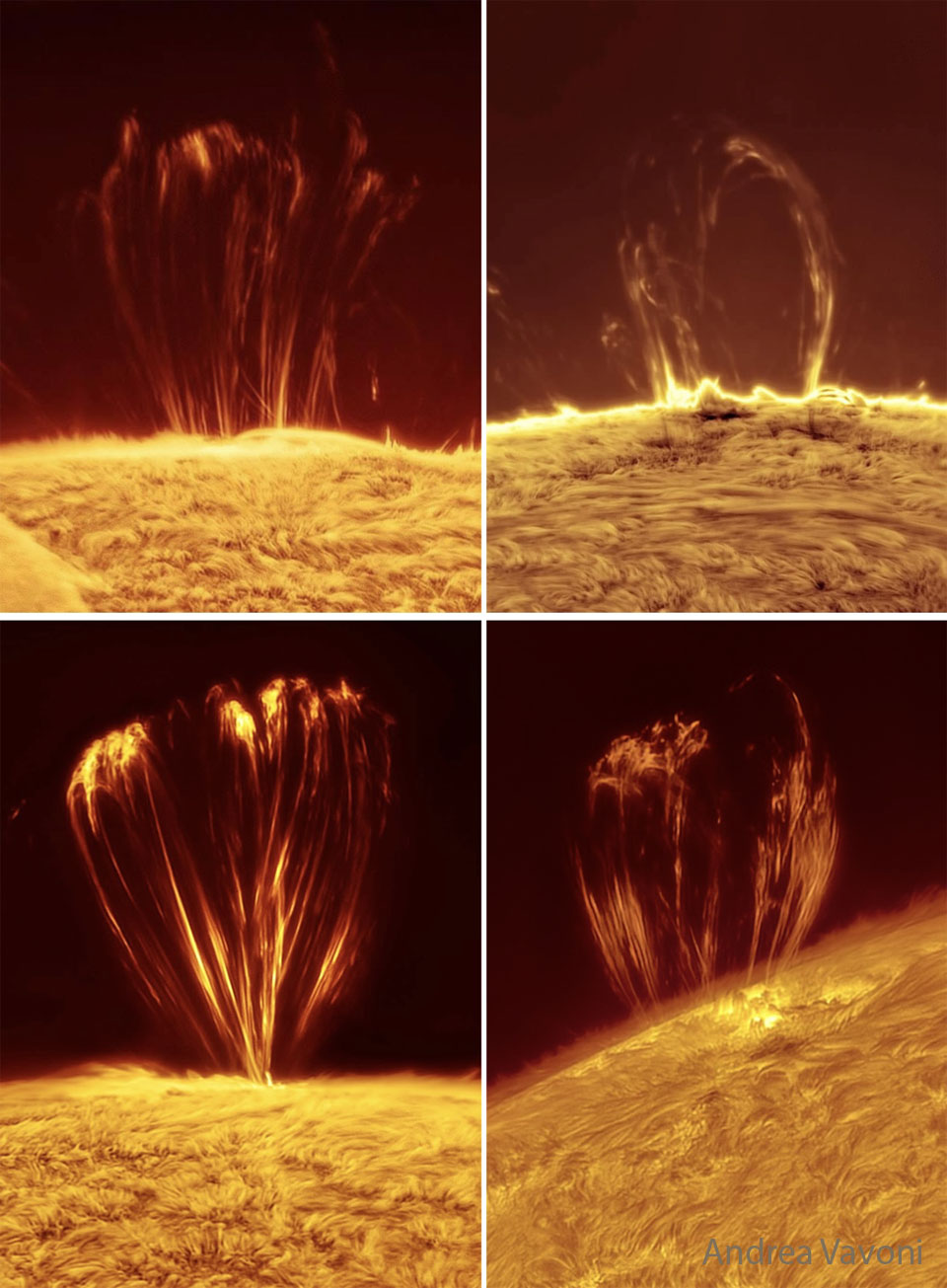 Four images of the Sun's edge are shown. In each
a loop of bright material is captured above the 
Sun's surface. 
Więcej szczegółowych informacji w opisie poniżej.