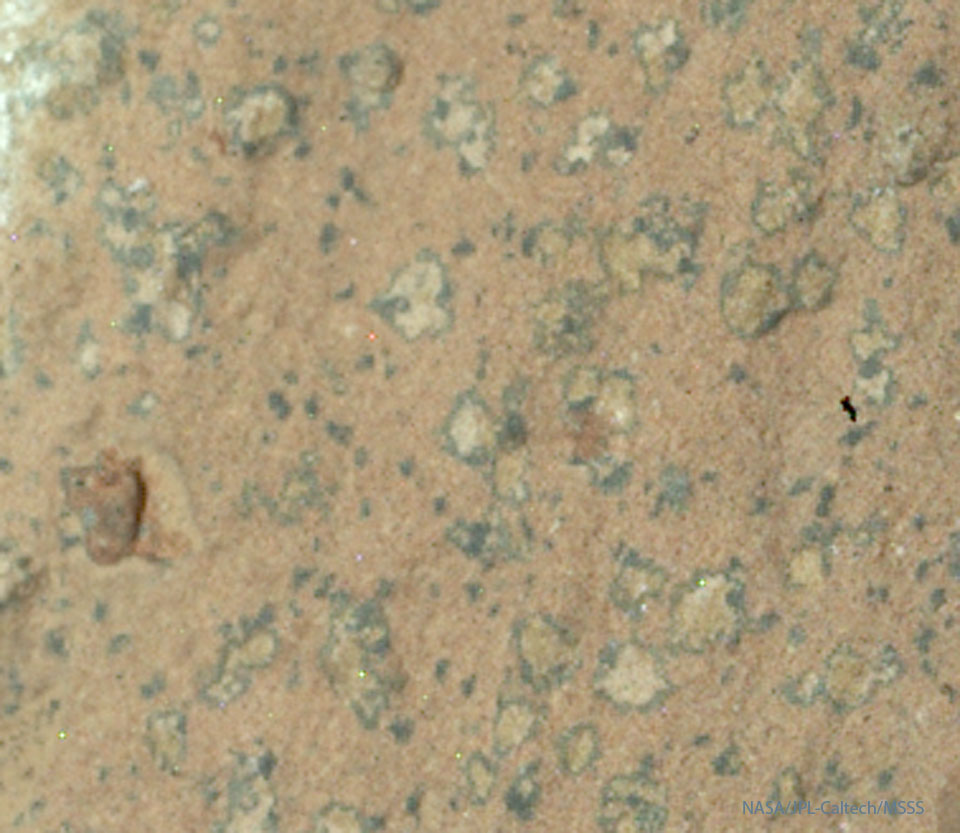 Part of a large rock on Mars is shown being mostly
orange. On the rock are several irregular light-colored areas
surrounded by a dark border. The spots are only millimeters
across but might be a remnant biosignature of ancient 
Martian life.
Więcej szczegółowych informacji w opisie poniżej.