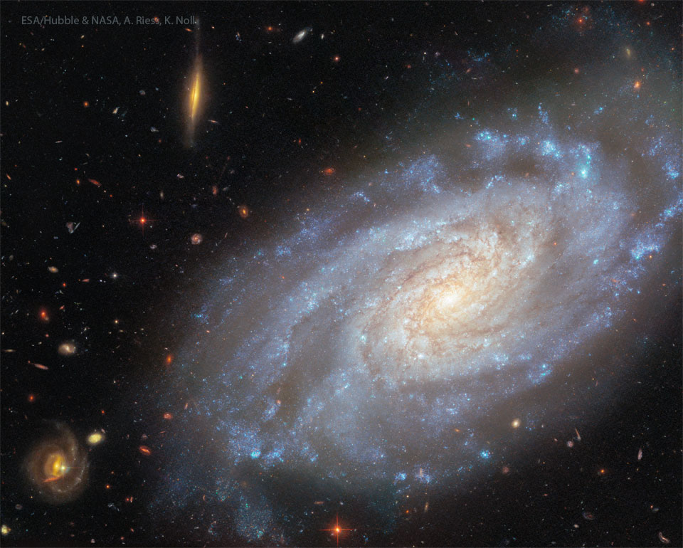 A spiral galaxy covers the right part of the image.
Brown dust and blue stars trace the spiral arms. On the 
left part of the image are several more red galaxies far
in the distance. 
Więcej szczegółowych informacji w opisie poniżej.
