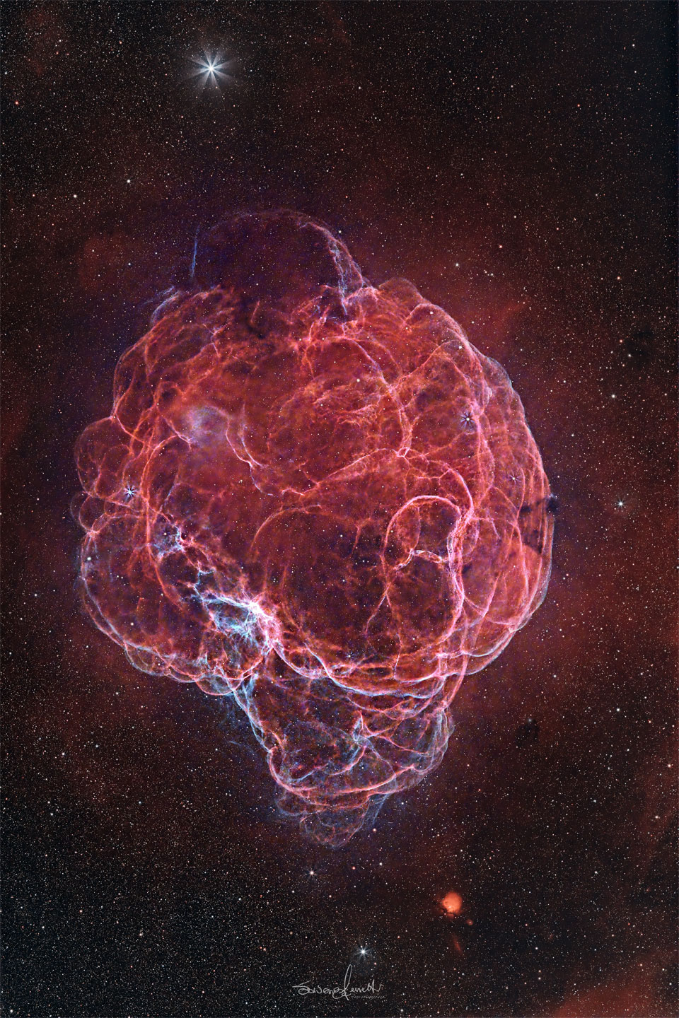 A starfield surrounds a giant red nebula. The nebula has so 
many winding filaments that it has been dubbed the Spaghetti Nebula.
Więcej szczegółowych informacji w opisie poniżej.