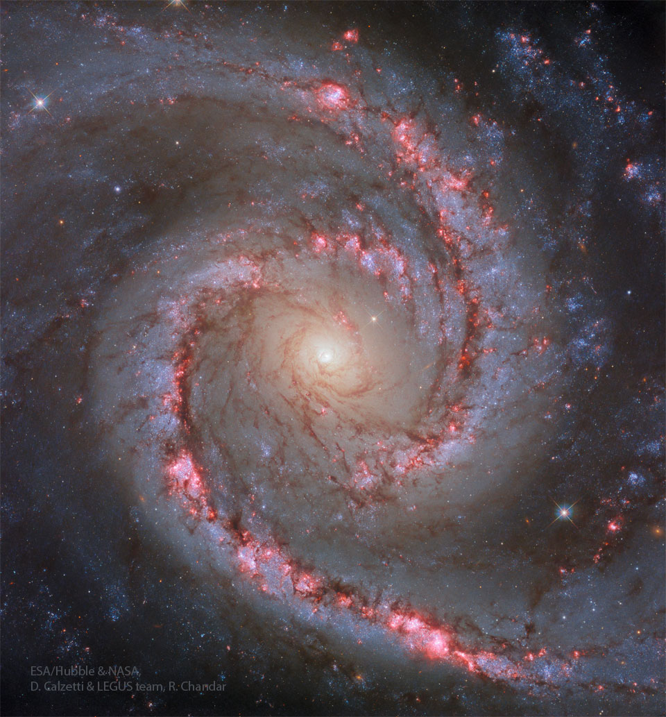 A spiral galaxy fills the frame with a white center
in the middle. Two bright arms spiral out from the center
filled with red nebulas along their spines and surrounded
by bright blue star clusters. 
Więcej szczegółowych informacji w opisie poniżej.