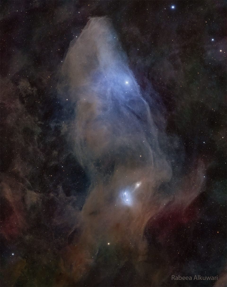 A starfield surrounds a large nebula that is mostly brown
and blue and has an appearance reminiscent of the head of a horse.
This nebula is not the more famous Horsehead Nebula. 
Więcej szczegółowych informacji w opisie poniżej.