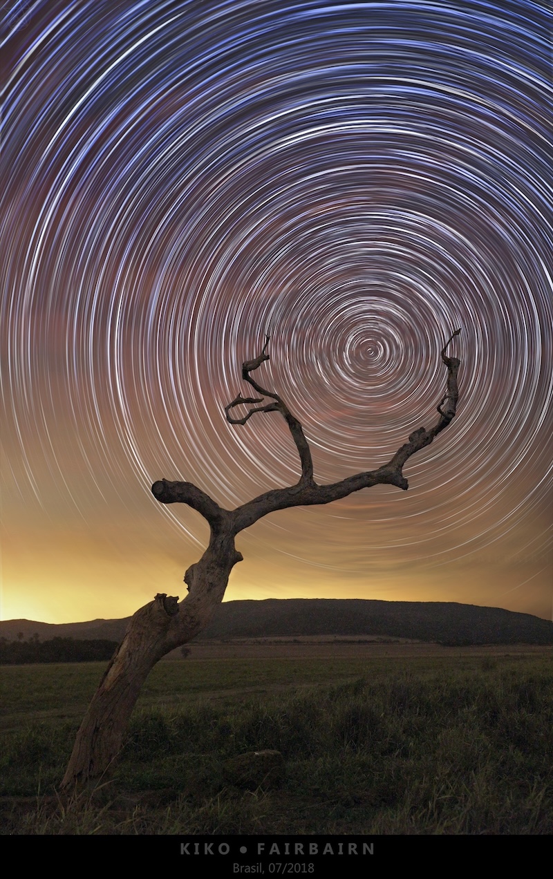 A dead tree branch on the foreground appears
	  to support a spinning wheel of stars on the night sky.
	  Więcej szczegółowych informacji w opisie poniżej.