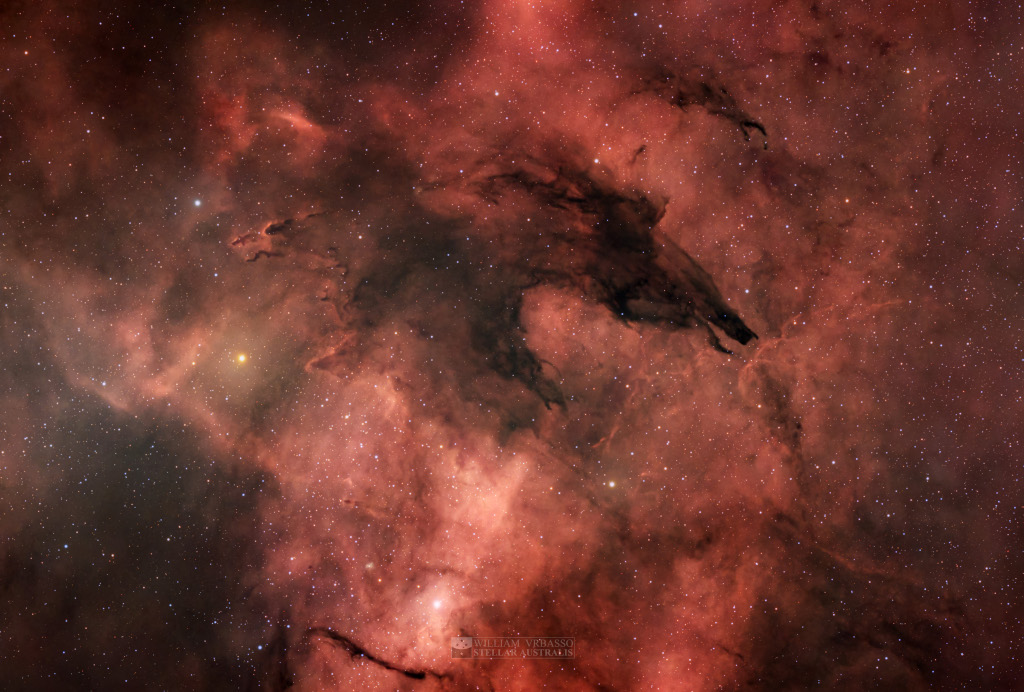 A dark and whispy cloud blocks the background light from surrounding gas and stars. It resembles the head, snout, and jaws of a wolf.