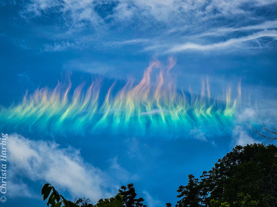 Blue sky has white clouds across the top and dark
tree tops across the bottom. Across the middle is a
very colorful row of clouds that are wavy and are 
orange at the top and green at the bottom.
Więcej szczegółowych informacji w opisie poniżej.