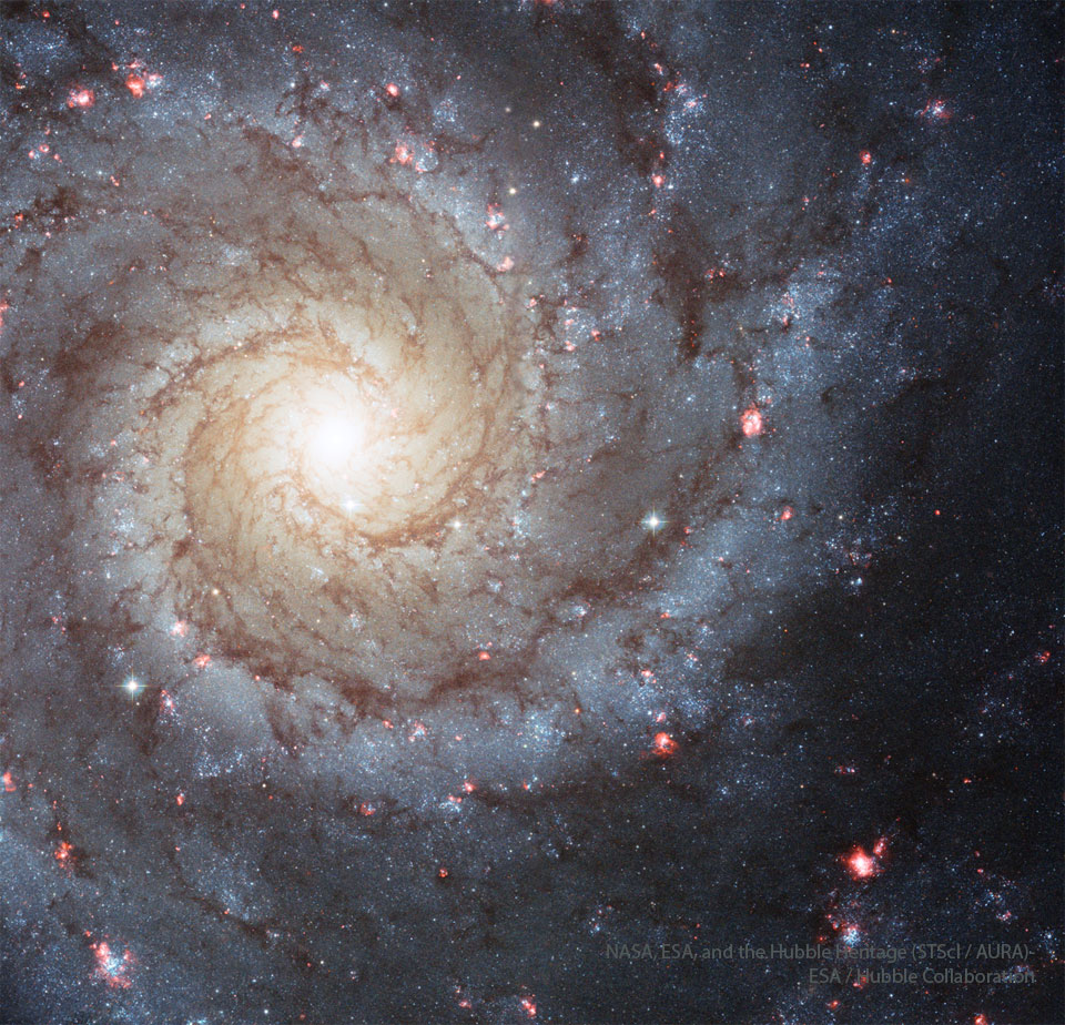 A large spiral galaxy occupies the frame, with 
a bright white center slightly toward the upper left,
and blue hued spiral arms laced with dark dust 
surrounding the center.
Więcej szczegółowych informacji w opisie poniżej.