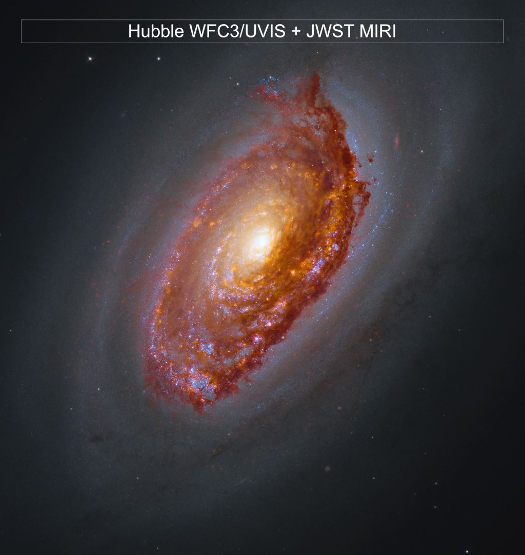 Obrazy M64 wykonane przez teleskopy Hubble'a oraz JWST. 
Masywna galaktyka ukazuje żółte jądro, ramiona pełne pomarańczowo-brązowego pyłu 
oraz różowych i&nbsp;niebieskich obszarów formowania gwiazd. 
Otoczona przez mgiełkę ciemnego pyłu galaktyka jasno świeci na tle ciemnej 
przestrzeni kosmicznej, ozdobionej kilkoma gwiazdami.